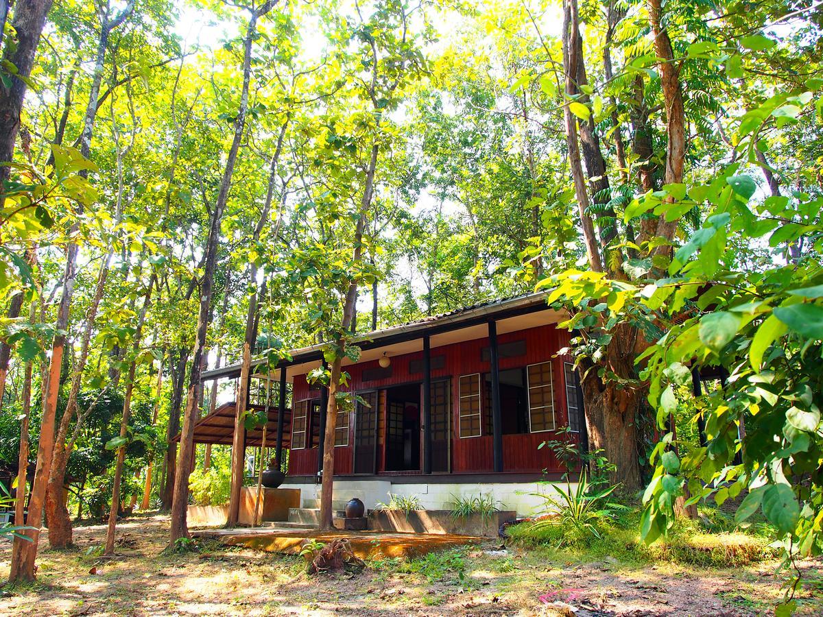 Golden Teak Homestay Mae Rim Exterior photo